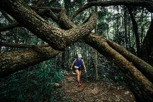 BIB: 
                            <button type="button" onclick="openModal(25664998)" class="btn btn-primary btn-sm float-right btn-popup" data-toggle="modal" data-target=".modal-high-quality">
                        <i class="fas fa-shopping-cart"></i> Add to Cart
                    </button>
                                            <button type="button" onclick="isThisMe(25664998, true)" class="btn btn-success btn-sm float-right btn-popup btn-isme hidden" data-toggle="tooltip" data-placement="bottom" title="นี่คือรูปของคุณใช่ไหม คลิกที่นี่เพื่อเอาเข้าอัลบั้ม">
                        <i class="fas fa-plus"></i> Add to album
                    </button>
                    <button type="button" onclick="isThisMe(25664998, false)" class="btn btn-warning btn-sm float-right btn-popup btn-isnotme hidden">
                        <i class="fas fa-ban"></i> Remove from album
                    </button>